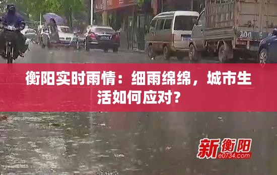 衡阳实时雨情:细雨绵绵,城市生活如何应对?