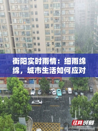 衡阳实时雨情:细雨绵绵,城市生活如何应对?