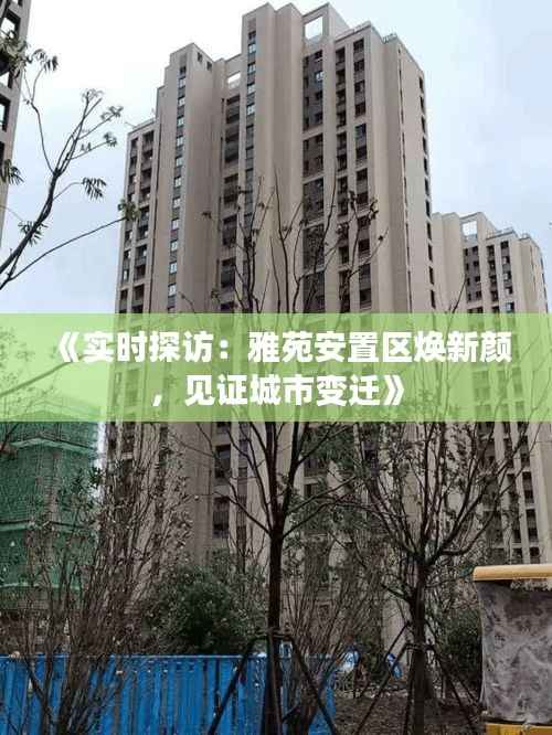 《实时探访:雅苑安置区焕新颜,见证城市变迁》