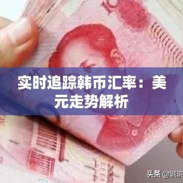 实时追踪韩币汇率:美元走势解析