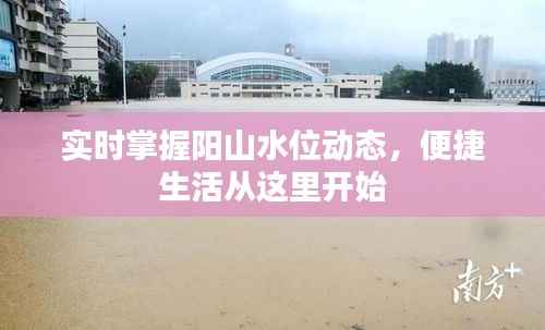 实时掌握阳山水位动态,便捷生活从这里开始