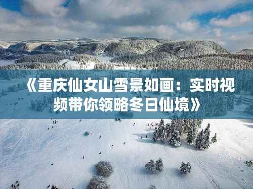 《重庆仙女山雪景如画:实时视频带你领略冬日仙境》