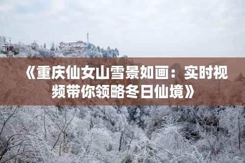 《重庆仙女山雪景如画:实时视频带你领略冬日仙境》