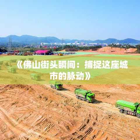 《佛山街头瞬间:捕捉这座城市的脉动》