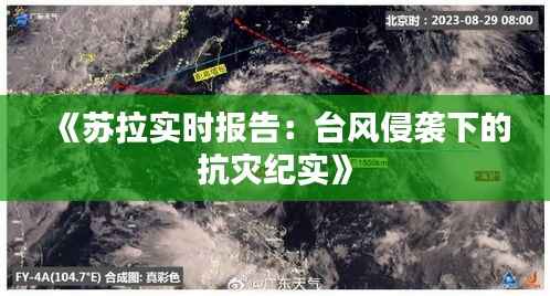 《苏拉实时报告:台风侵袭下的抗灾纪实》