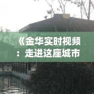 《金华实时视频:走进这座城市的动感瞬间》