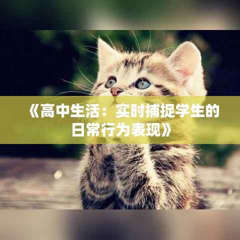 公司动态 第422页