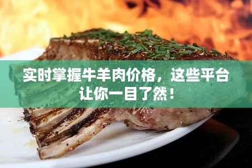 实时掌握牛羊肉价格,这些平台让你一目了然!