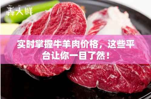 实时掌握牛羊肉价格,这些平台让你一目了然!