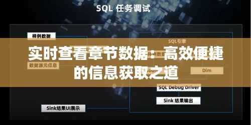 实时查看章节数据:高效便捷的信息获取之道