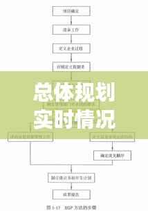 总体规划实时情况说明书:全面解析与前瞻