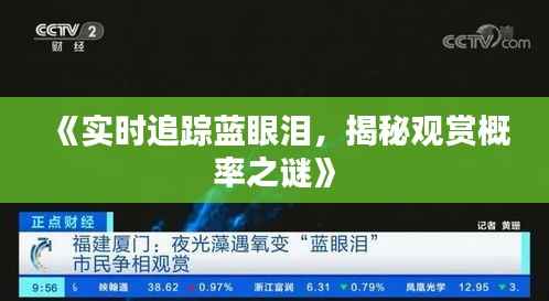 《实时追踪蓝眼泪，揭秘观赏概率之谜》