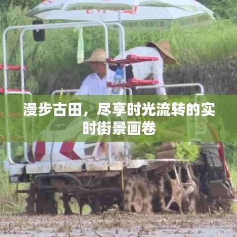 漫步古田,尽享时光流转的实时街景画卷