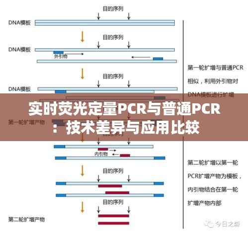 实时荧光定量PCR与普通PCR:技术差异与应用比较