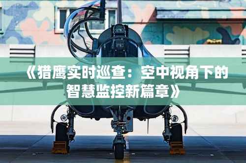 《猎鹰实时巡查:空中视角下的智慧监控新篇章》