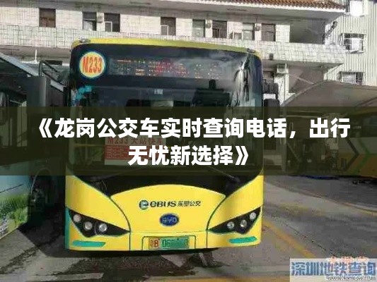 《龙岗公交车实时查询电话,出行无忧新选择》