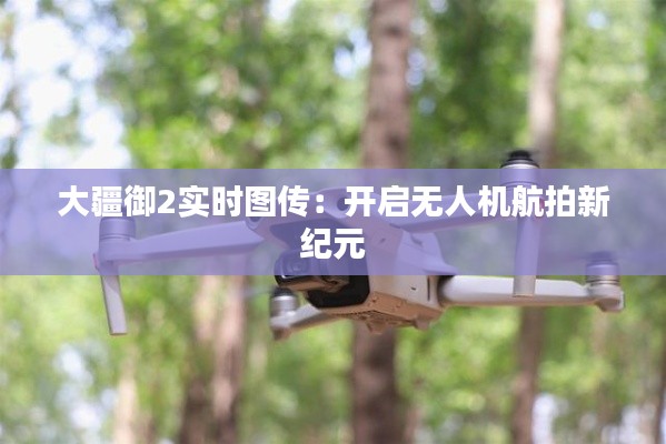 大疆御2实时图传：开启无人机航拍新纪元