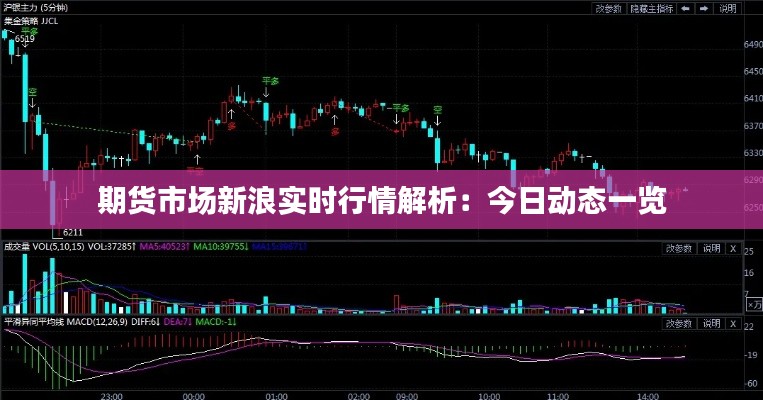 期货市场新浪实时行情解析:今日动态一览