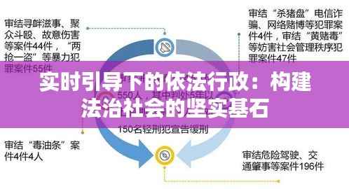 实时引导下的依法行政：构建法治社会的坚实基石