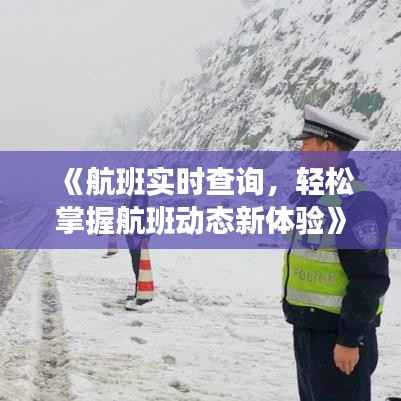 《航班实时查询,轻松掌握航班动态新体验》