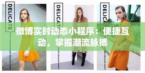 微博实时动态小程序:便捷互动,掌握潮流脉搏