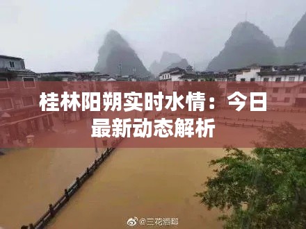 桂林阳朔实时水情:今日最新动态解析