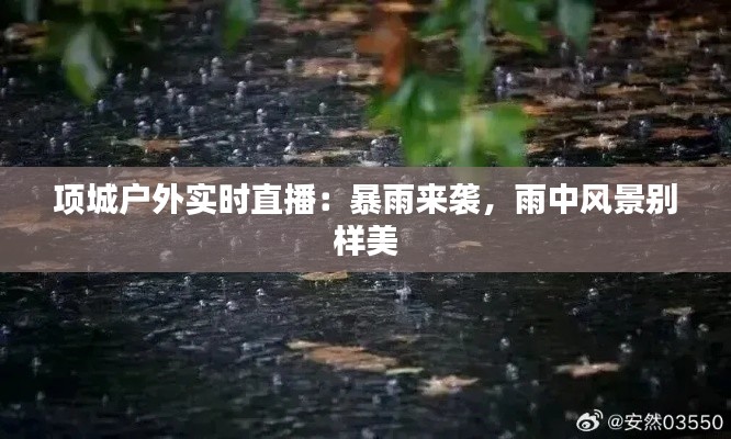 项城户外实时直播:暴雨来袭,雨中风景别样美