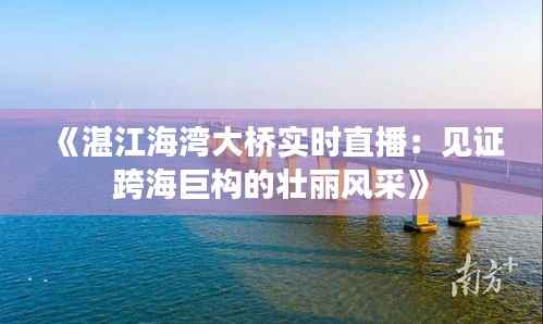 《湛江海湾大桥实时直播:见证跨海巨构的壮丽风采》