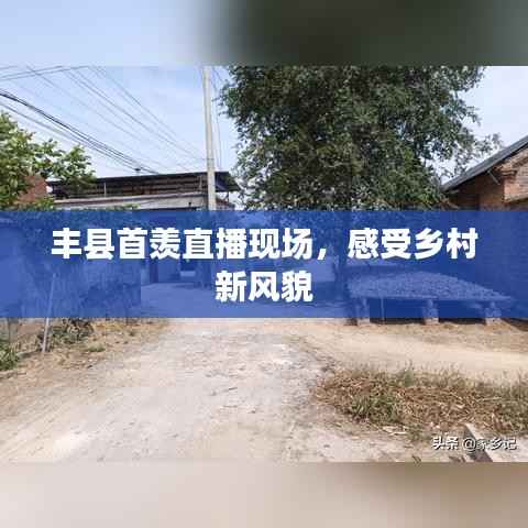 丰县首羡直播现场，感受乡村新风貌