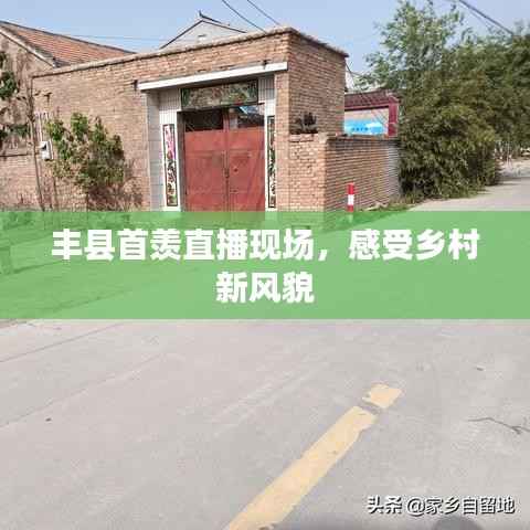 丰县首羡直播现场,感受乡村新风貌