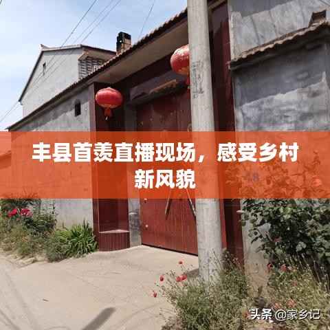丰县首羡直播现场,感受乡村新风貌