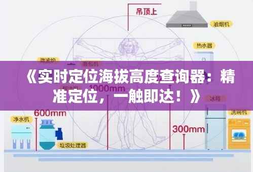 《实时定位海拔高度查询器:精准定位,一触即达!》