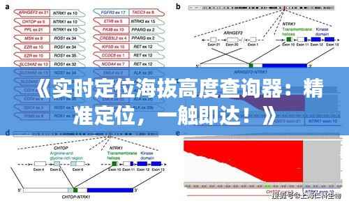 《实时定位海拔高度查询器:精准定位,一触即达!》