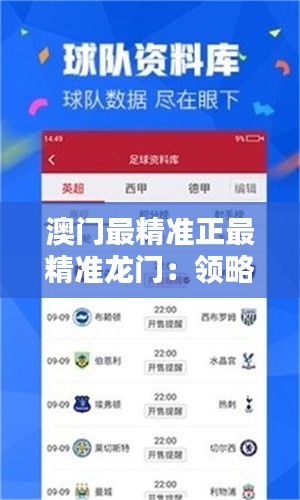 澳门最精准正最精准龙门:领略极致博彩艺术的灯红酒绿
