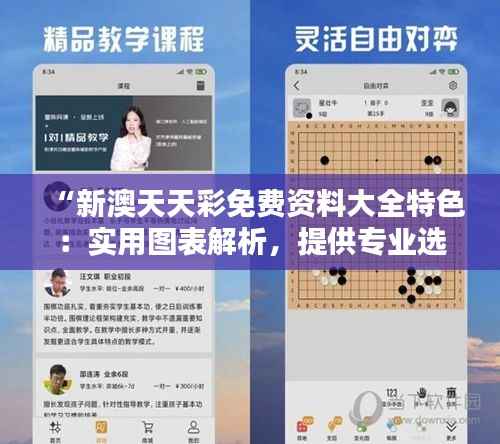 “新澳天天彩免费资料大全特色：实用图表解析，提供专业选号策略”