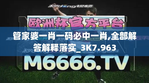 管家婆一肖一码必中一肖,全部解答解释落实_3K7.963