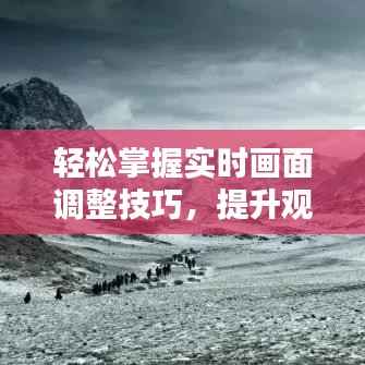 轻松掌握实时画面调整技巧，提升观感体验！