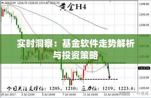实时洞察:基金软件走势解析与投资策略
