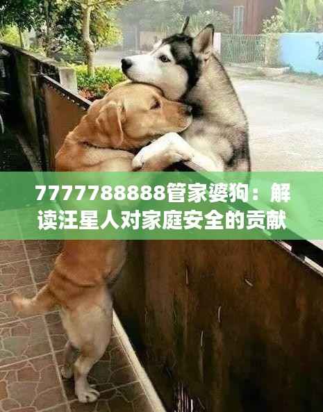 7777788888管家婆狗:解读汪星人对家庭安全的贡献