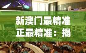 新澳门最精准正最精准:揭秘新澳门赌场的高科技魅力