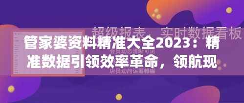 管家婆资料精准大全2023:精准数据引领效率革命,领航现代企业资源管理风潮