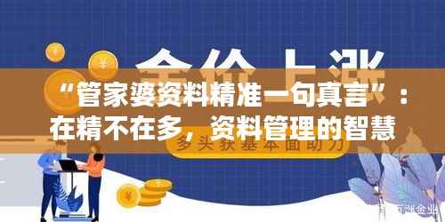 “管家婆资料精准一句真言”：在精不在多，资料管理的智慧之道
