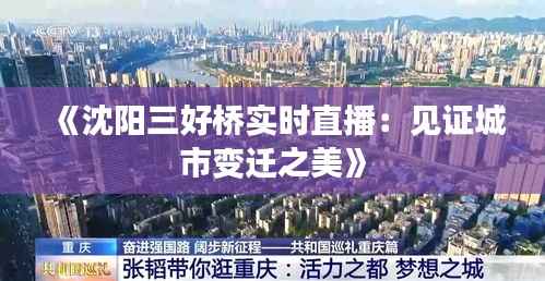 《沈阳三好桥实时直播:见证城市变迁之美》