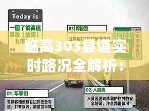 临高303县道实时路况全解析：畅行无忧指南