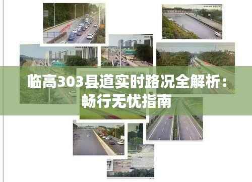 临高303县道实时路况全解析:畅行无忧指南
