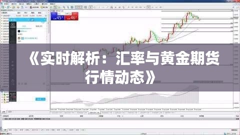 《实时解析:汇率与黄金期货行情动态》