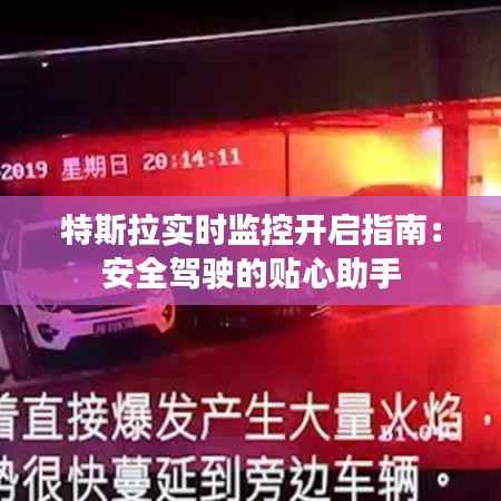 贵不可言 第5页