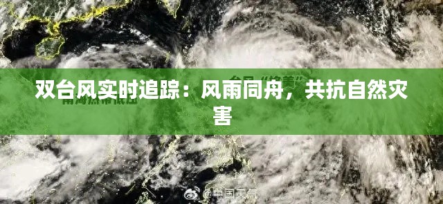 双台风实时追踪:风雨同舟,共抗自然灾害