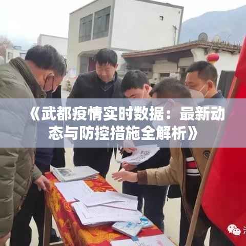 《武都疫情实时数据:最新动态与防控措施全解析》