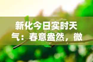 新化今日实时天气：春意盎然，微风拂面
